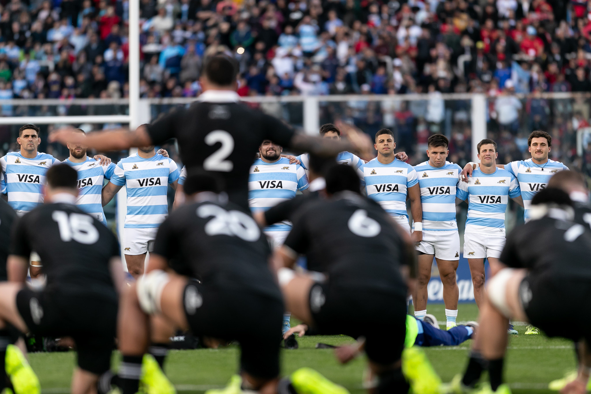 Rugby. Nueva Zelanda, Argentina, Los Pumas, All Blacks, ranking