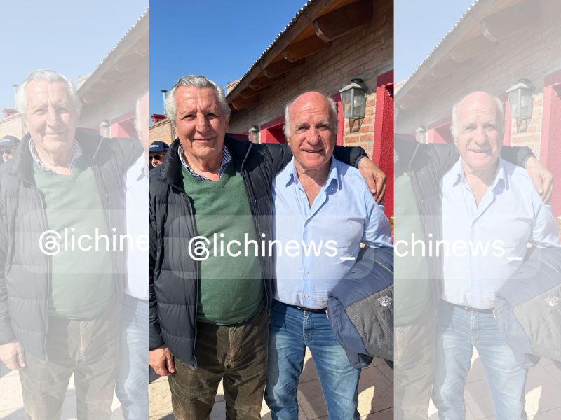 El Mundial olvidado de Los Pumas: derrotas, grietas y una reconciliación inesperada