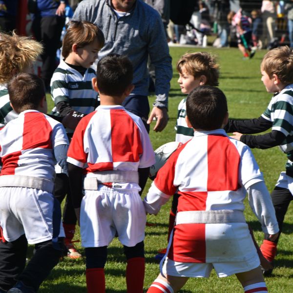“Harold” el Encuentro de Rugby Infantil 2025: fue una fiesta a puro rugby en Rosario