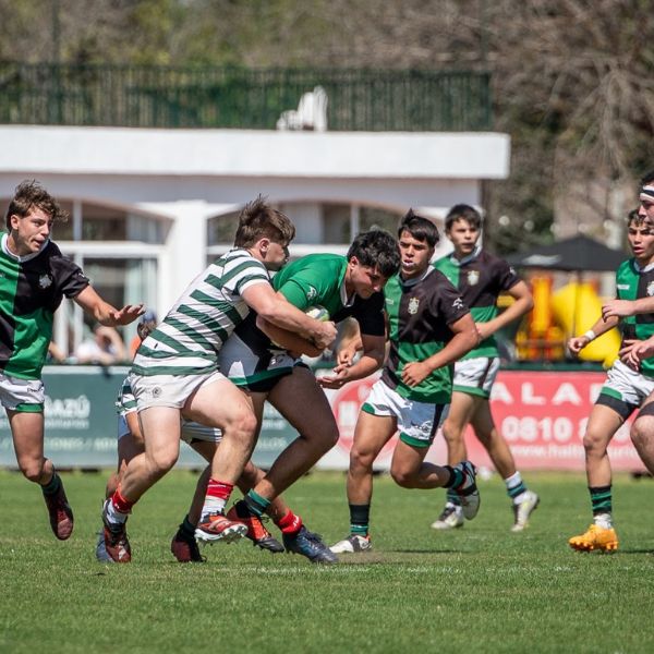 El Futuro del Rugby en Rosario: Todo lo que necesitas saber de la definición de los Torneos Juveniles URR desde M19 a M15