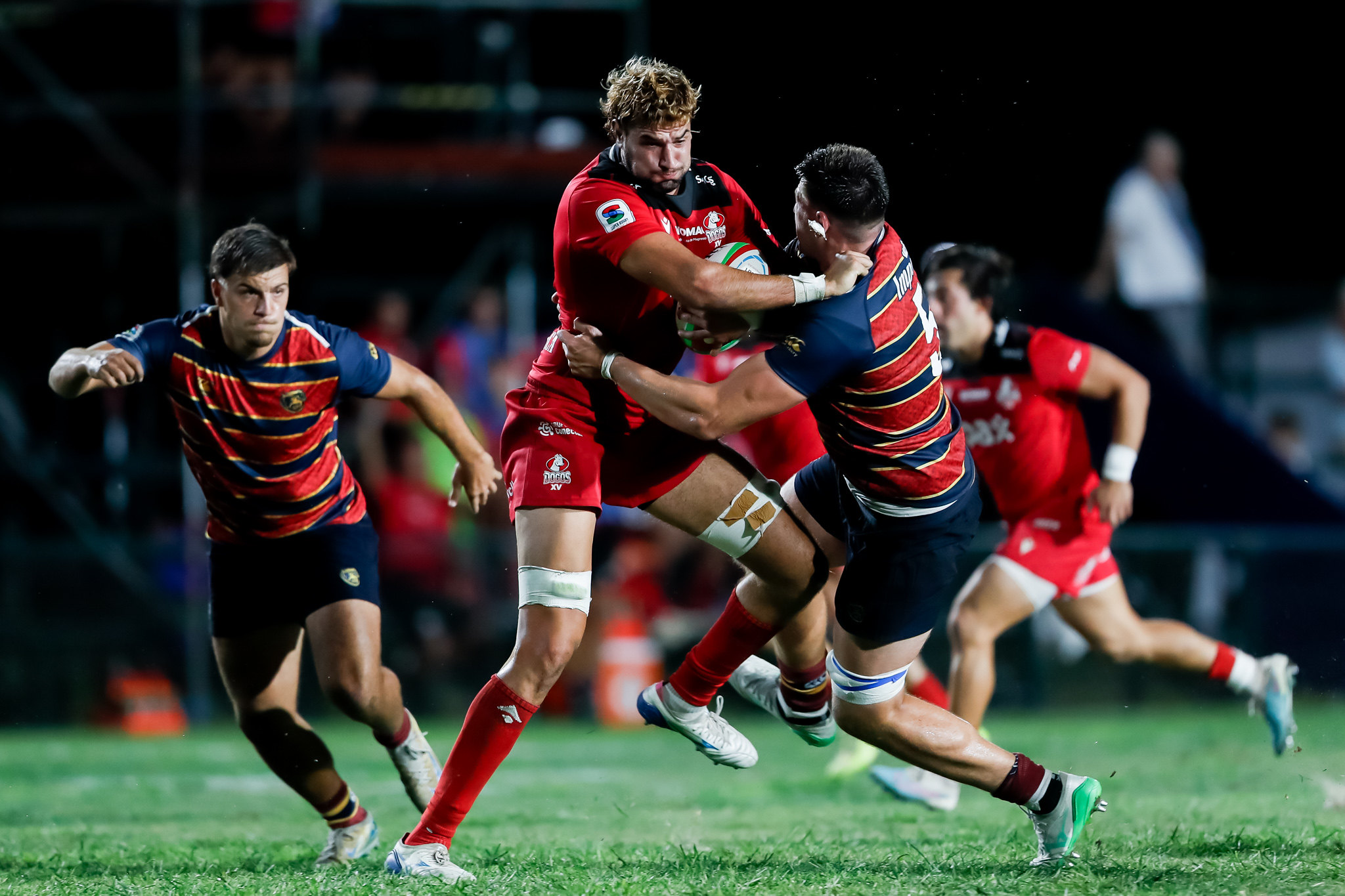Superclásico en Córdoba por el SRA: Dogos XV y Pampas se miden en Córdoba por el primer lugar del torneo
