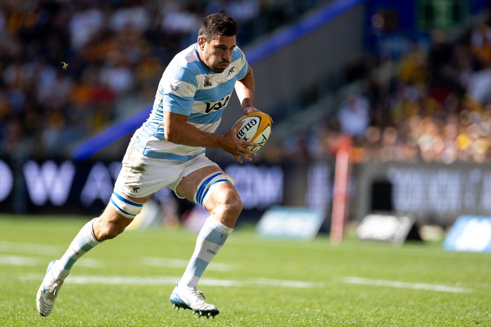 Los Pumas con cambios ante Gales en San Juan: formación confirmada y Guido Petti se unirá al club de los centenarios